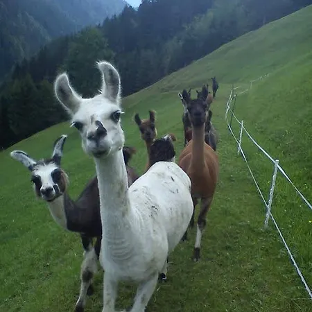 דירה Haus Martine - Im Bergdorf Marul Auf 1000m